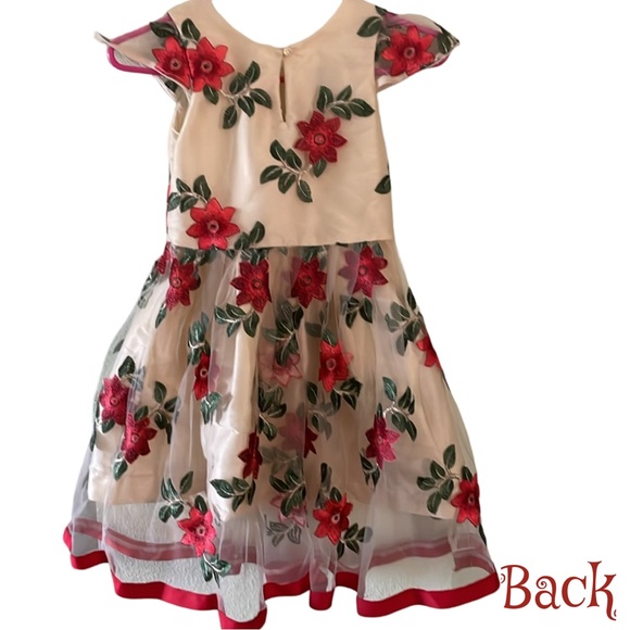 Fiiveloaves Twofish Embroidered Poinserra Girls Dress Size 10 - Picture 4 of 8
